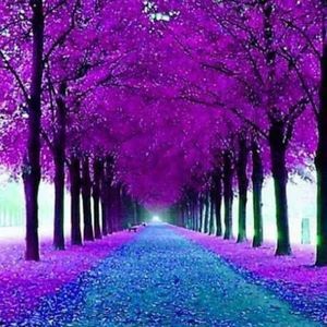 Meet your Posher, Regina